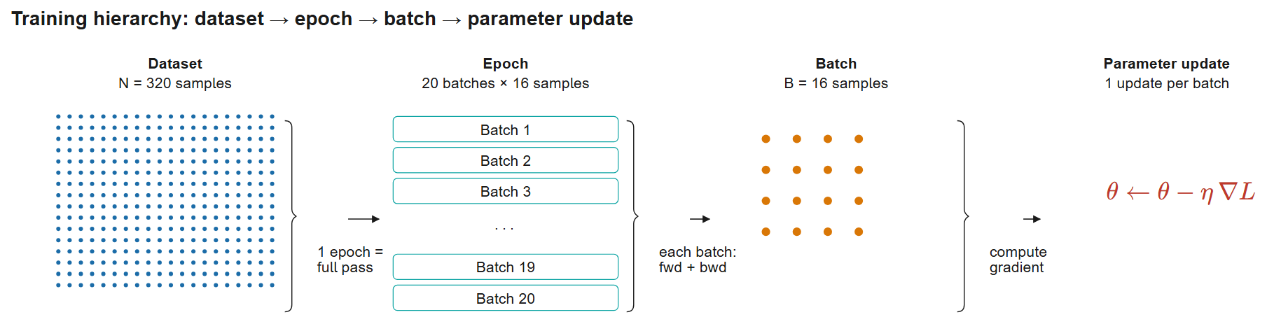 Training hierarchy: the complete dataset (N = 320) is traversed once per epoch; each epoch is split into 20 batches of B = 16 samples; each batch drives one forward + backward pass and a parameter update \theta \leftarrow \theta - \eta\,\nabla L. For 50 epochs this yields 50 \times 20 = 1{,}000 parameter updates, with each sample seen 50 times.
